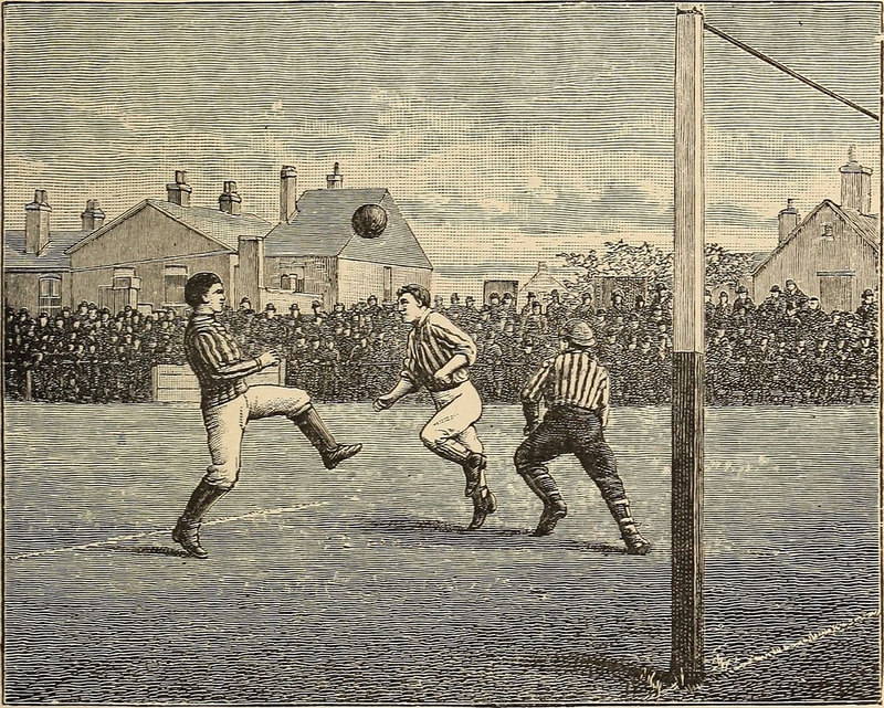 Image depicting 1890s in the development of soccer